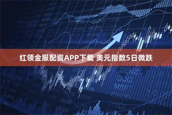 红领金服配资APP下载 美元指数5日微跌